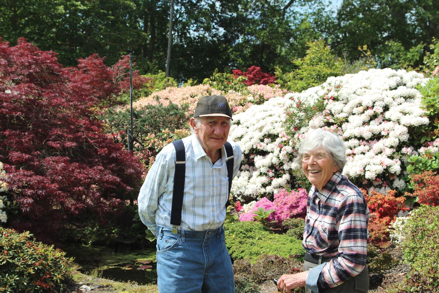 Borehole treatment programme keeps Brians nursery garden blooming - BoreSaver Case Study